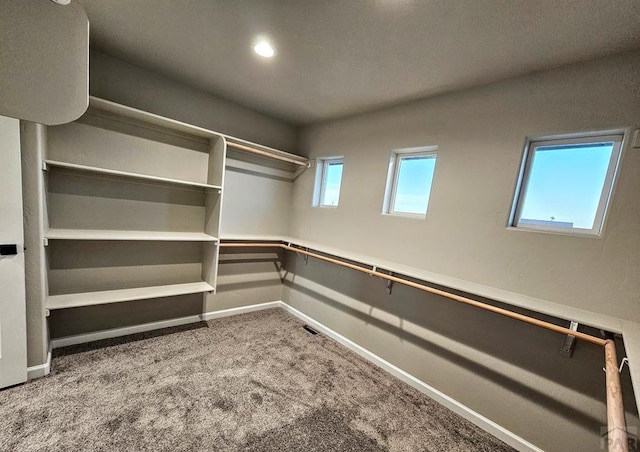 walk in closet with carpet and visible vents