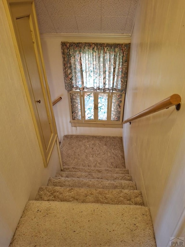 303 E Florence Ave, Fowler, CO 81039 - photo 17