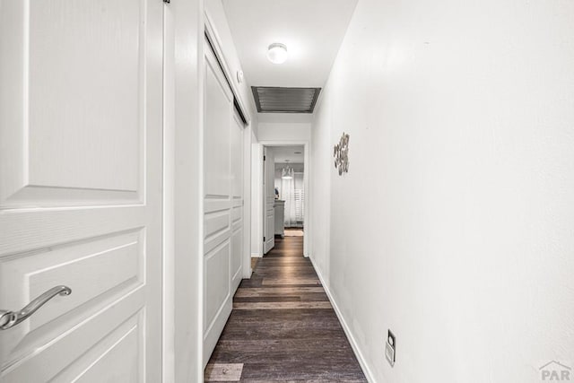 67 Macarthur Rd, Pueblo, CO 81001 - hall with dark wood-style floors