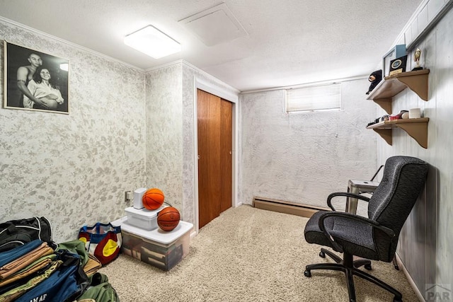 67 Macarthur Rd, Pueblo, CO 81001 - sitting room with carpet, ornamental molding, a textured ceiling, and a baseboard radiator