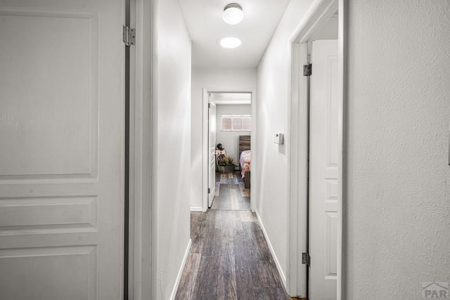 67 Macarthur Rd, Pueblo, CO 81001 - hall with dark wood-style flooring and baseboards