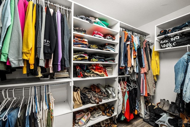67 Macarthur Rd, Pueblo, CO 81001 - spacious closet with wood finished floors