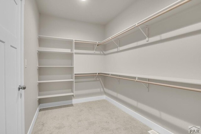 walk in closet with light colored carpet