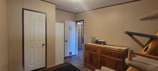 interior space featuring dark wood-type flooring