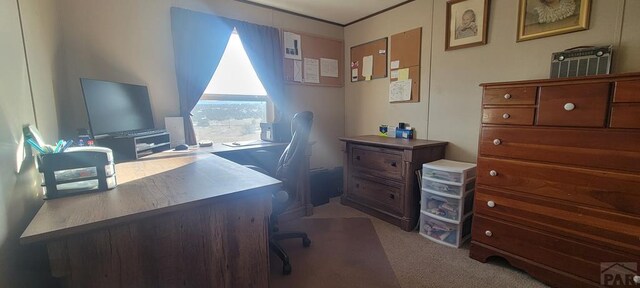 view of carpeted office space