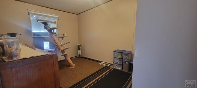 workout room with carpet floors