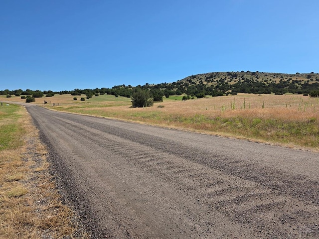 LOT62 Garrett Dr, Beulah, CO 81023 - photo 10