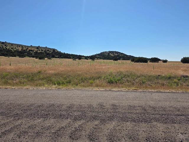 LOT62 Garrett Dr, Beulah, CO 81023 - photo 11