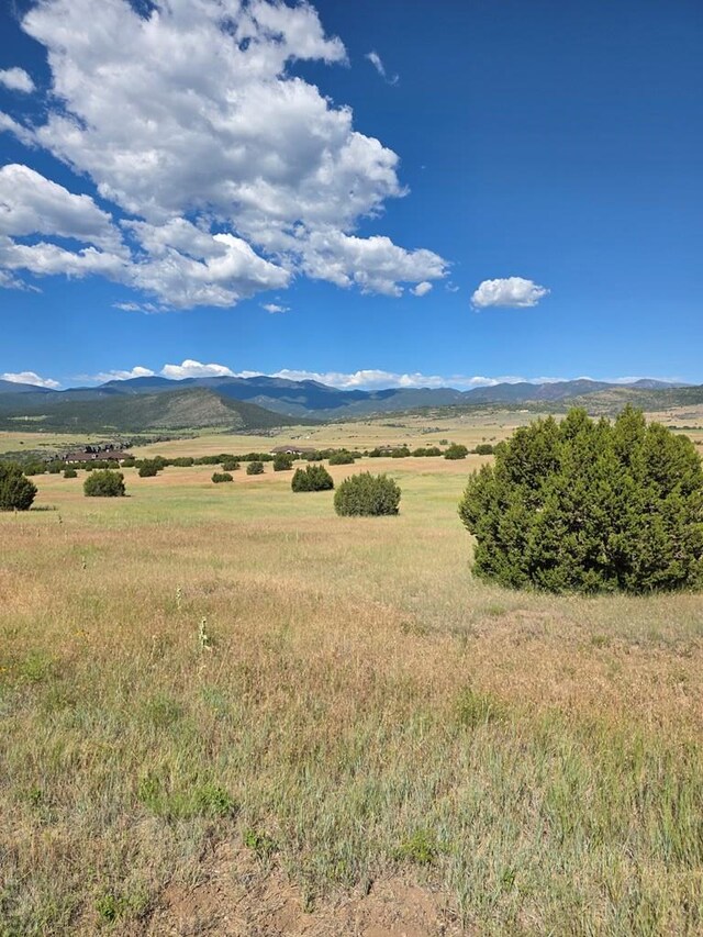 LOT62 Garrett Dr, Beulah, CO 81023 - photo 4
