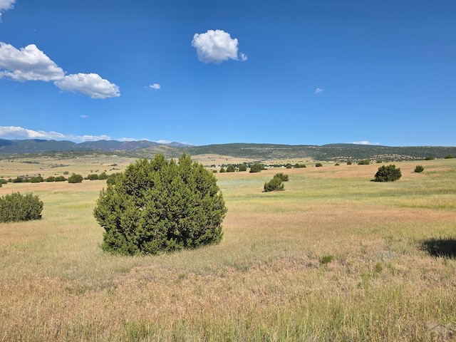 LOT62 Garrett Dr, Beulah, CO 81023 - photo 8