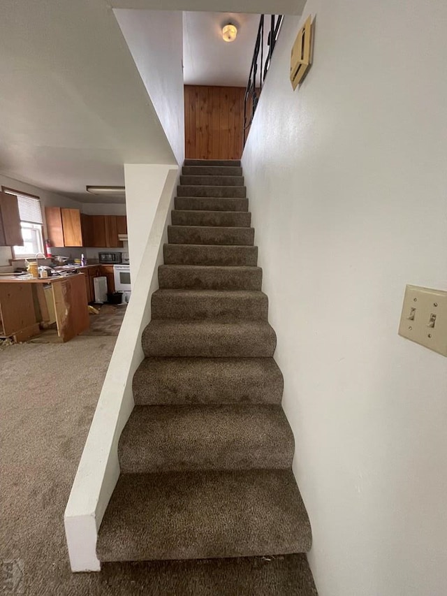 staircase featuring carpet