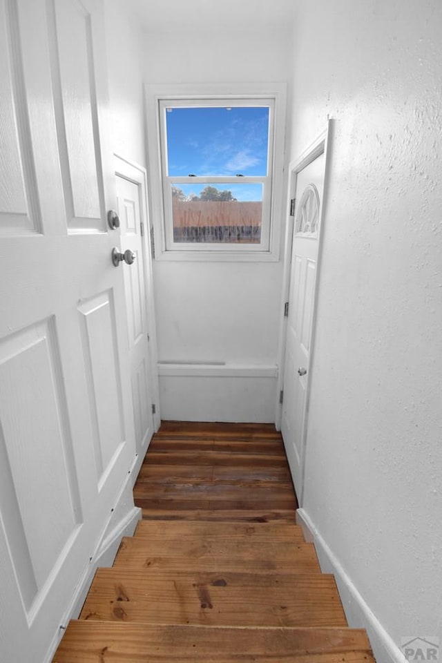 1142 Elm St, Pueblo, CO 81004 - hall featuring wood finished floors