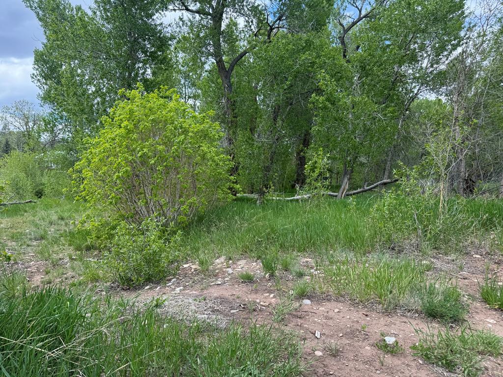 LOT42/43 Garland St, La Veta, CO 81055