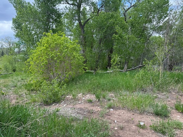 LOT42/43 Garland St, La Veta, CO 81055