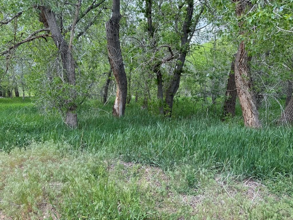 LOT42/43 Garland St, La Veta, CO 81055