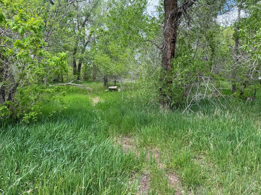 LOT42/43 Garland St, La Veta, CO 81055