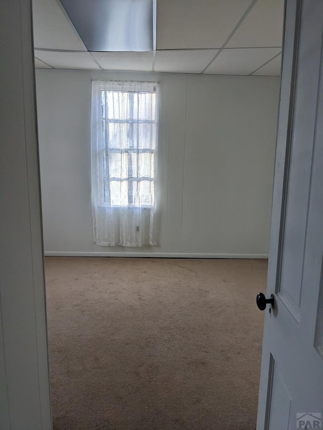 spare room with a paneled ceiling and light carpet