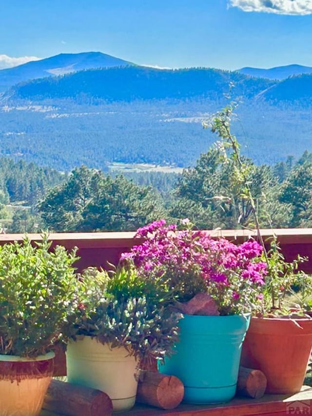 361 Crystal Peak Rd, Florissant, CO 80814 - view of mountain feature