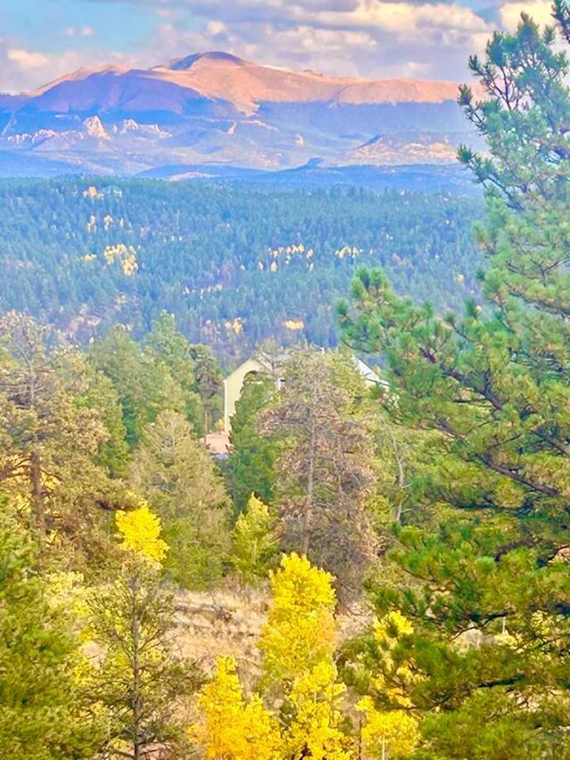 361 Crystal Peak Rd, Florissant, CO 80814 - aerial view featuring a mountain view and a view of trees