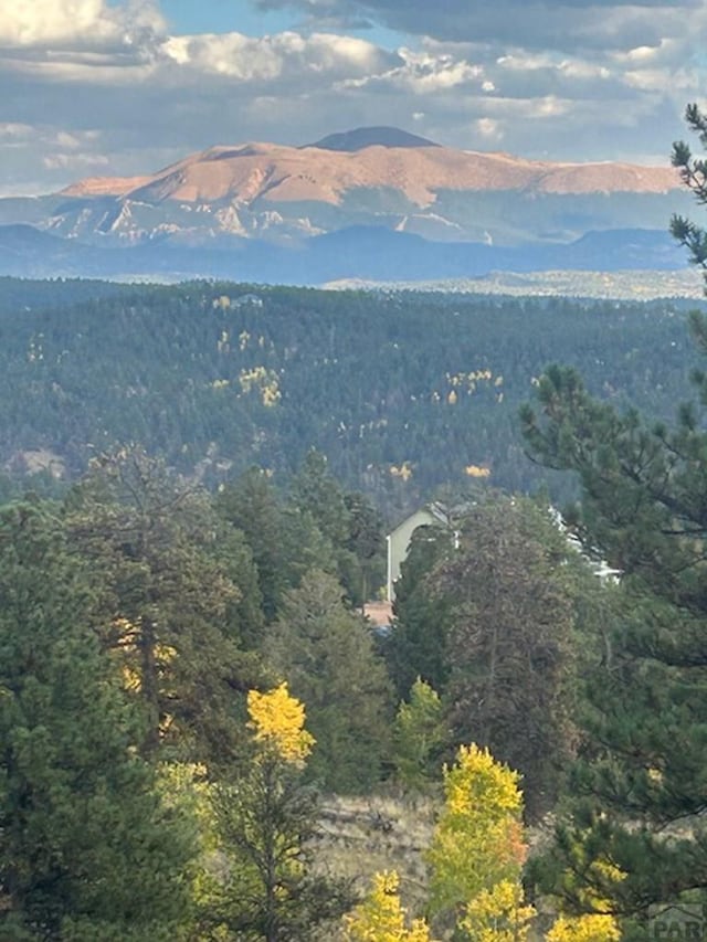 361 Crystal Peak Rd, Florissant, CO 80814 - property view of mountains with a view of trees