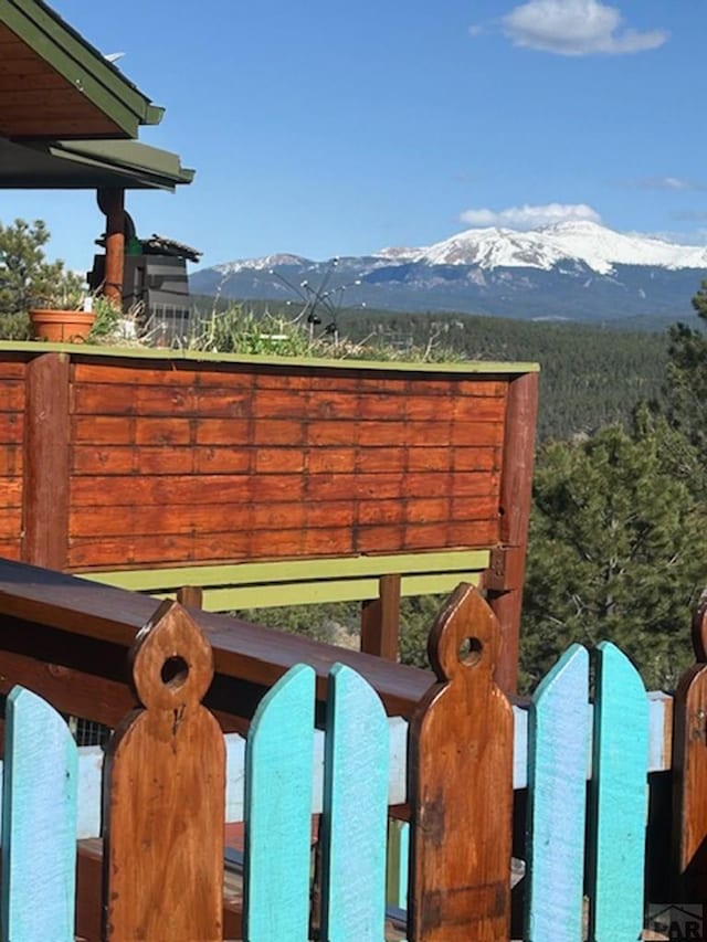361 Crystal Peak Rd, Florissant, CO 80814 - exterior space featuring a mountain view