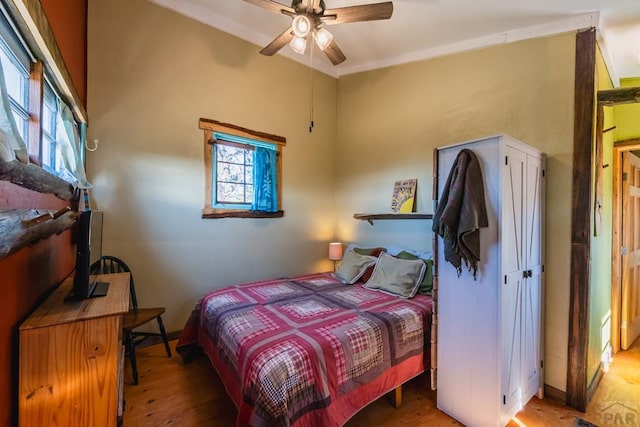 361 Crystal Peak Rd, Florissant, CO 80814 - bedroom with multiple windows, a ceiling fan, and light wood-style floors