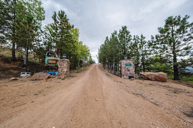 361 Crystal Peak Rd, Florissant, CO 80814 - view of street