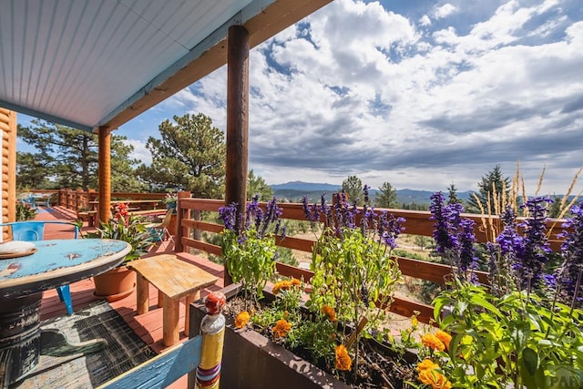 361 Crystal Peak Rd, Florissant, CO 80814 - exterior space with a mountain view