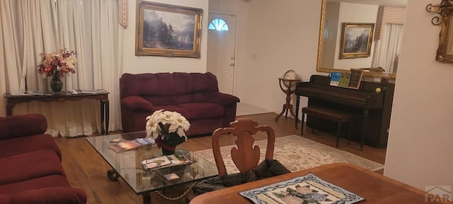 living room featuring wood finished floors