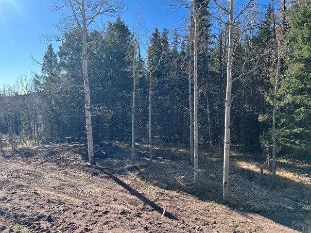 000 County Rd 46, Aguilar, CO 81020