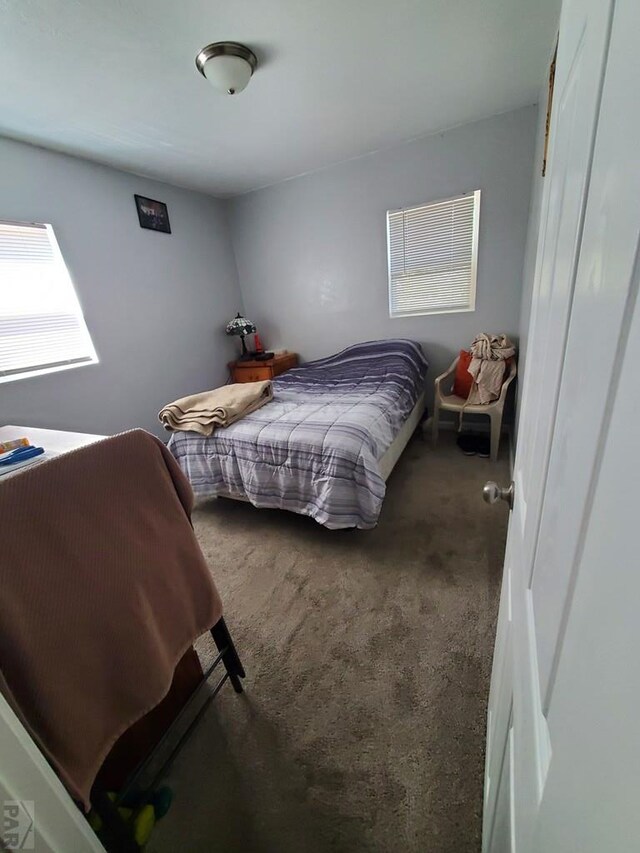 bedroom featuring carpet flooring