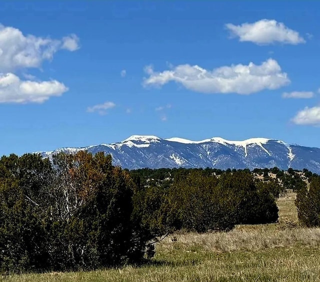 TBD Matt Dillon Dr, Pueblo CO, 81004 land for sale