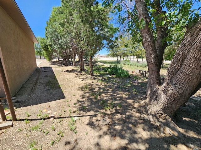 103 S Goff St, Eads, CO 81036 - view of yard