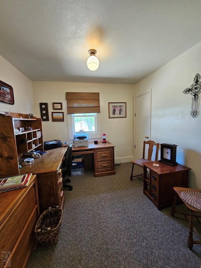 103 S Goff St, Eads, CO 81036 - office area featuring dark colored carpet