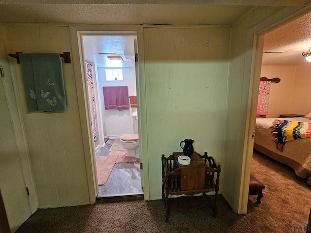 103 S Goff St, Eads, CO 81036 - corridor with carpet flooring and a textured ceiling