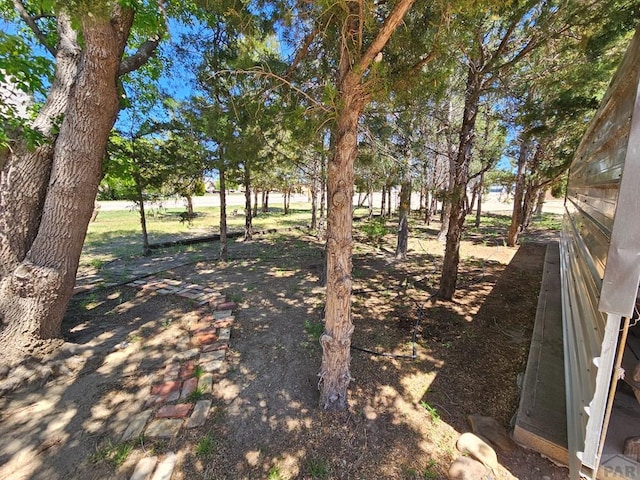 103 S Goff St, Eads, CO 81036 - view of yard