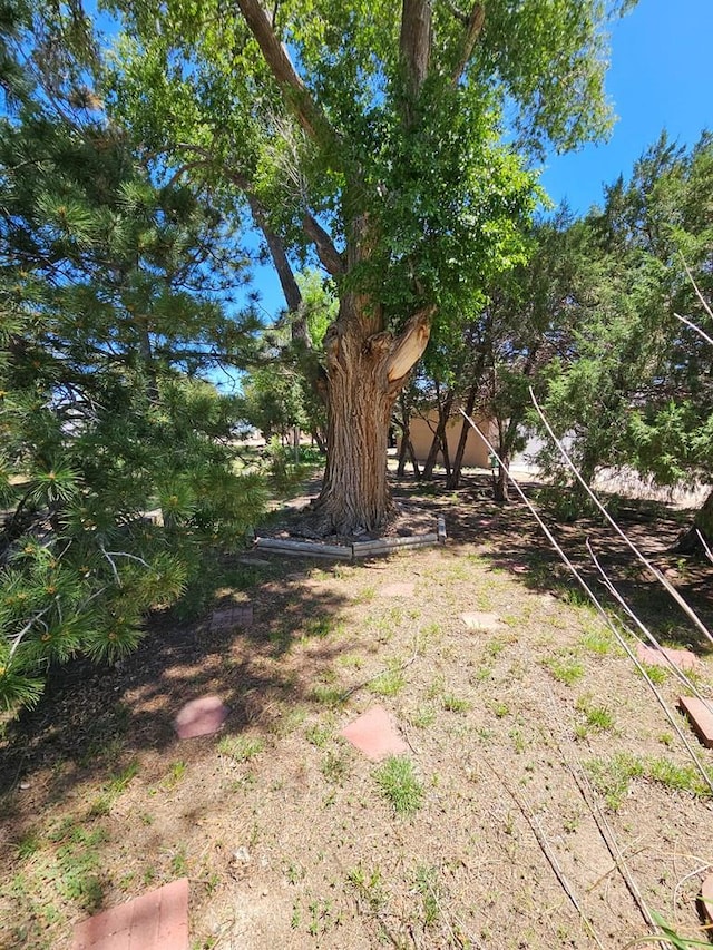 103 S Goff St, Eads, CO 81036 - view of yard