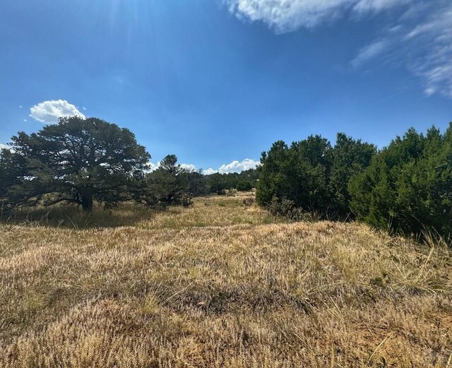 Listing photo 3 for LOT70 Spanish Peaks Vlg, Walsenburg CO 81089