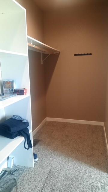 walk in closet with carpet floors