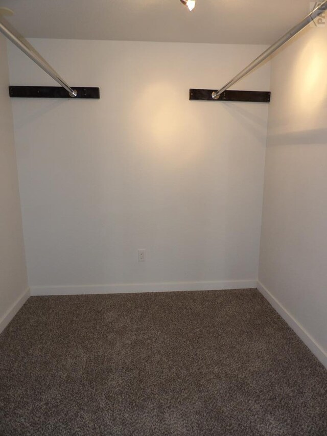 unfurnished room with baseboards and carpet flooring