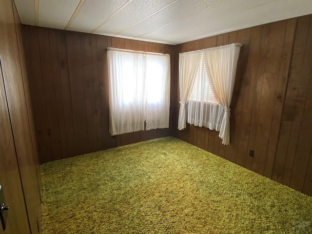 1051 36 1/2 Ln, Pueblo, CO 81006 - photo 53