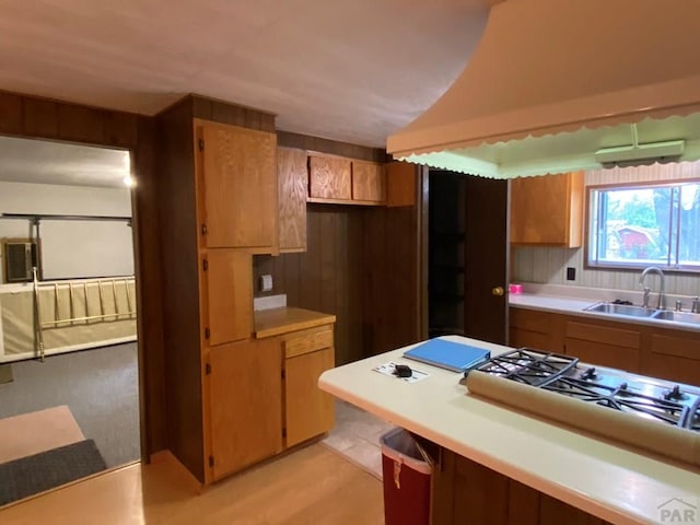 1051 36 1/2 Ln, Pueblo, CO 81006 - photo 31