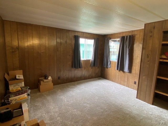 1051 36 1/2 Ln, Pueblo, CO 81006 - photo 44