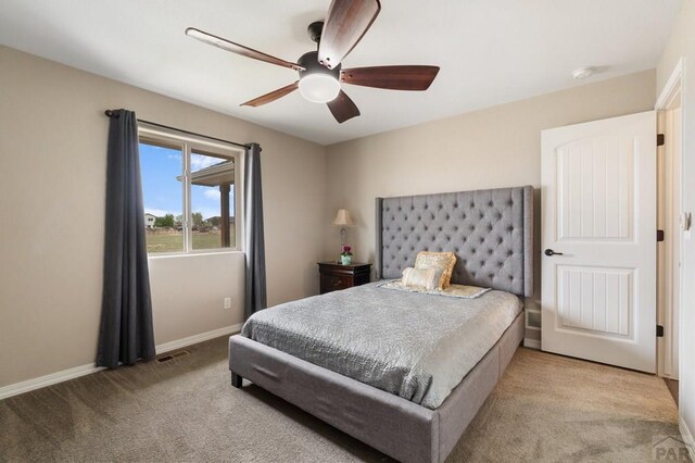 914 S Rosa Linda Dr, Pueblo West, CO 81007 - photo 19