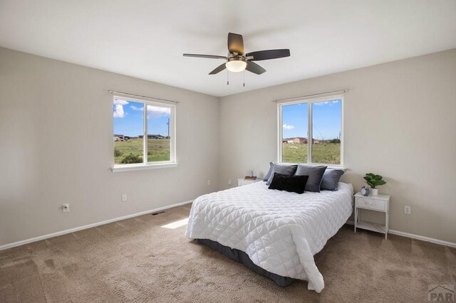 1491 N Platteville Blvd, Pueblo, CO 81007 - photo 21