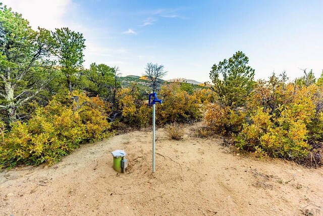 TBD County Rd 521, Walsenburg, CO 81055 - photo 7