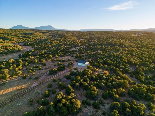 TBD County Rd 521, Walsenburg, CO 81055 - photo 12