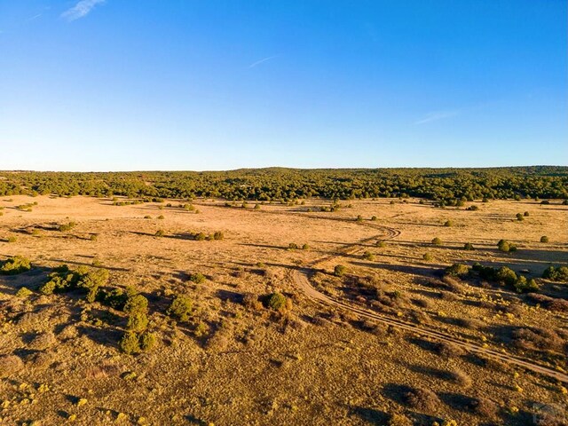 TBD County Rd 521, Walsenburg, CO 81055 - photo 9