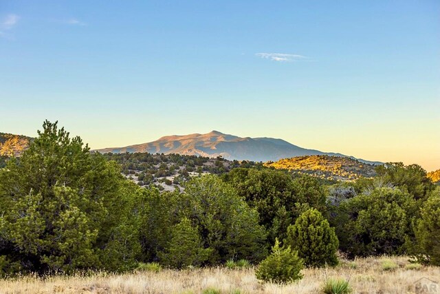 TBD County Rd 521, Walsenburg, CO 81055 - photo 14