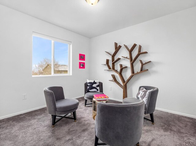 3522 Possum, Pueblo, CO 81005 - photo 30